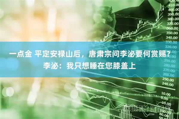 一点金 平定安禄山后，唐肃宗问李泌要何赏赐？李泌：我只想睡在您膝盖上